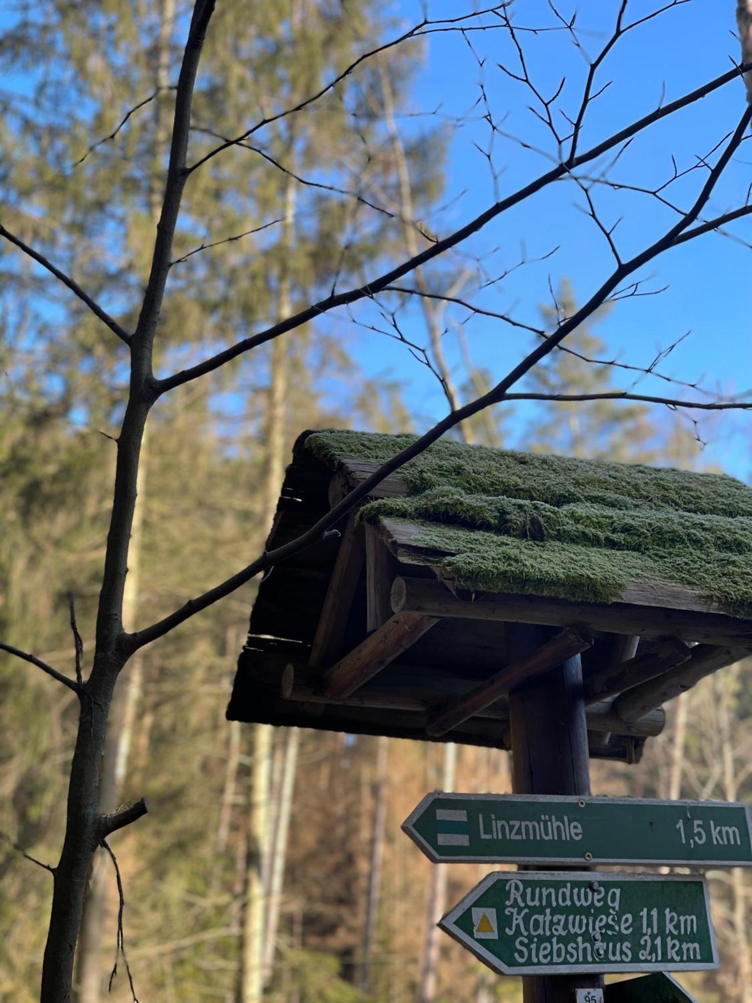 Waldhotel Linzmuehle Kahla  المظهر الخارجي الصورة